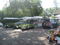 Foto van Zomerfair Sassenhein