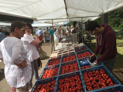 Foto van Zomerfair Sassenhein