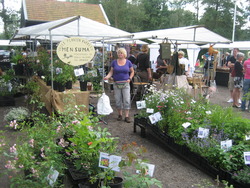 Foto van Zomerfair Sassenhein