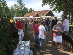 Foto van Zomerfair Sassenhein